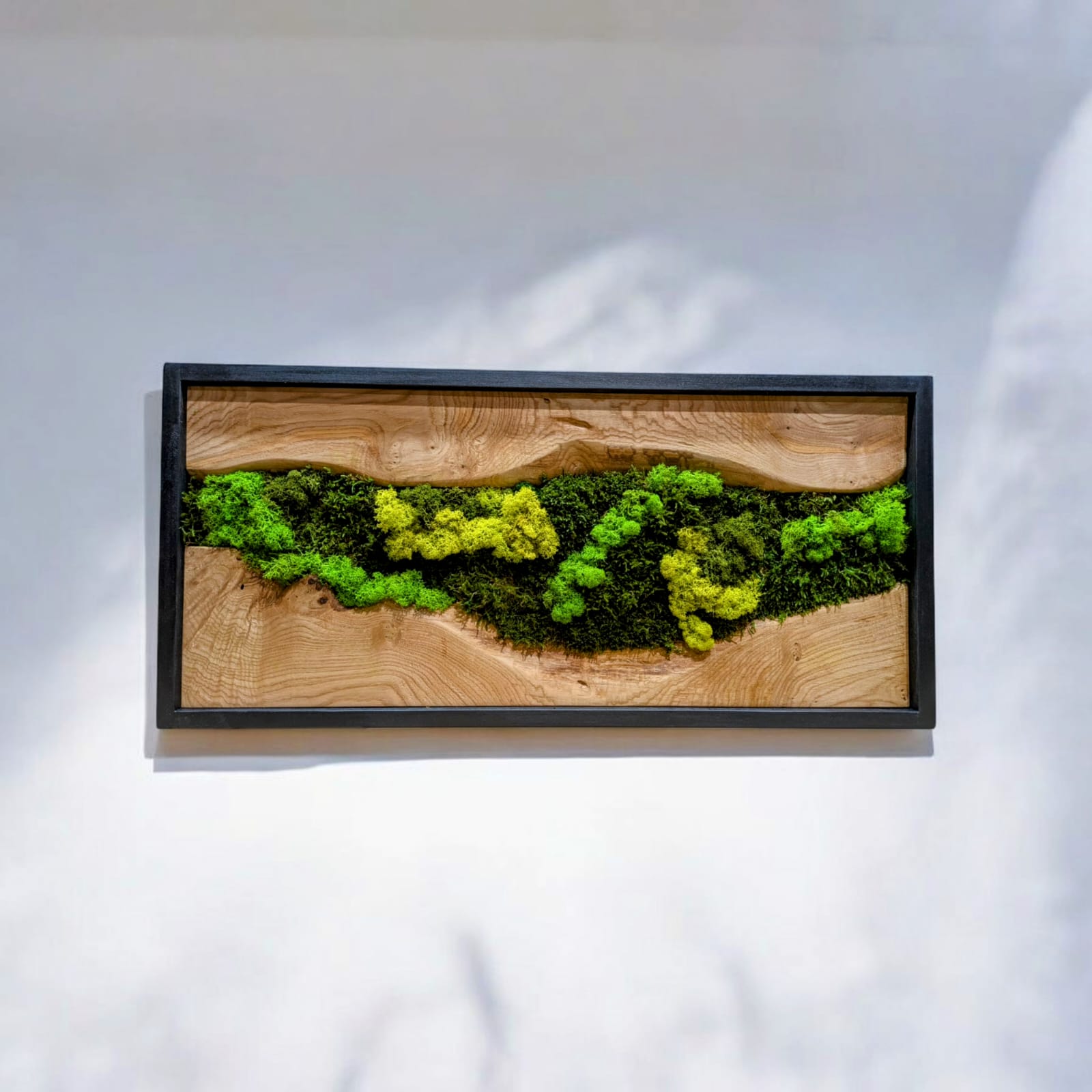 Latido de la tierra 01